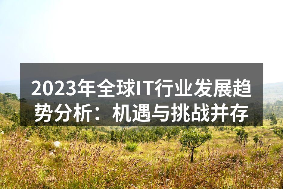 2023年全球IT行业发展趋势分析：机遇
