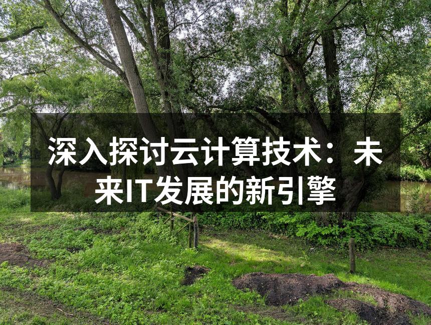 深入探讨云计算技术：未来IT发展的新引擎