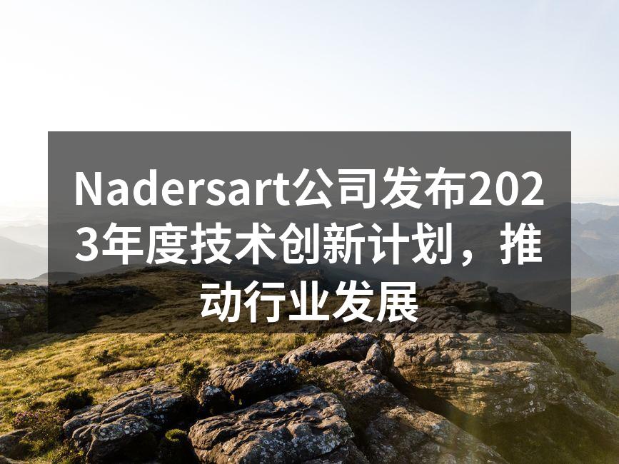 Nadersart公司发布2023年度技